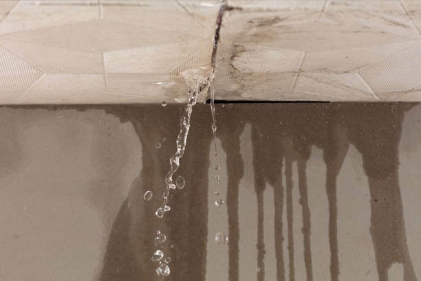 Professional Burst Pipe Cleanup technician working in Abington, MA